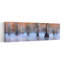 Art mural de paysage de Misty Cypress Swamp-90669260