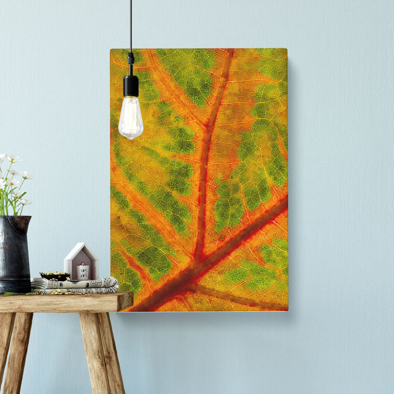 Map Of A Leaf - Wrapped Canvas, 91cm H x 60cm W x 3cm D