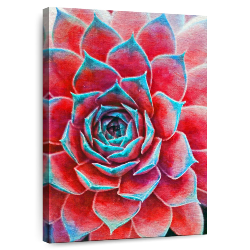 Harnek Crimson Succulents, H 48 po x l 32 po