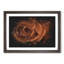Orange Rose - Picture Frame Graphic Art Print-56861790-56861791