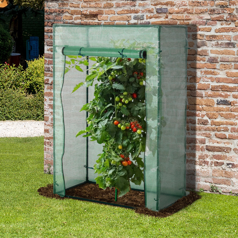Odelle 3 Ft W x 2 Ft D Mini Greenhouse