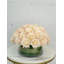 Large Dome Real-Touch Rose Centerpiece-1001954875