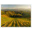 Vineyard Sunset Landscape - Décoration murale traditionnelle sur toile-1955656245-1955656253