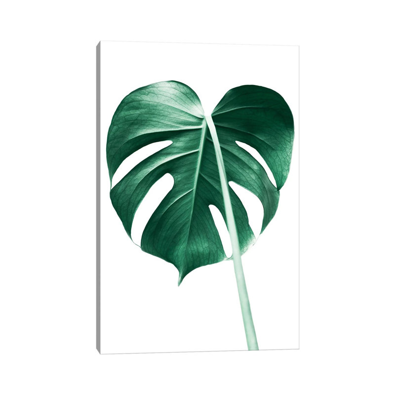 Monstera Leaf by Sisi & Seb - Gallery-Wrapped Canvas Giclée on Canvas, Canvas, 30.48 cm H x 45.72 cm W