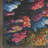 Nourison Color Splash 5'3" x 7'3" Multicolor Coastal, Nautical & Beach Rug-117953320