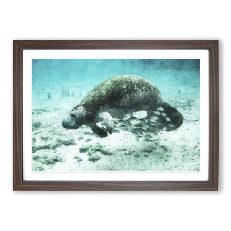Manatee - Picture Frame Painting, 36cm H x 48cm W x 2cm D, Walnut Framed
