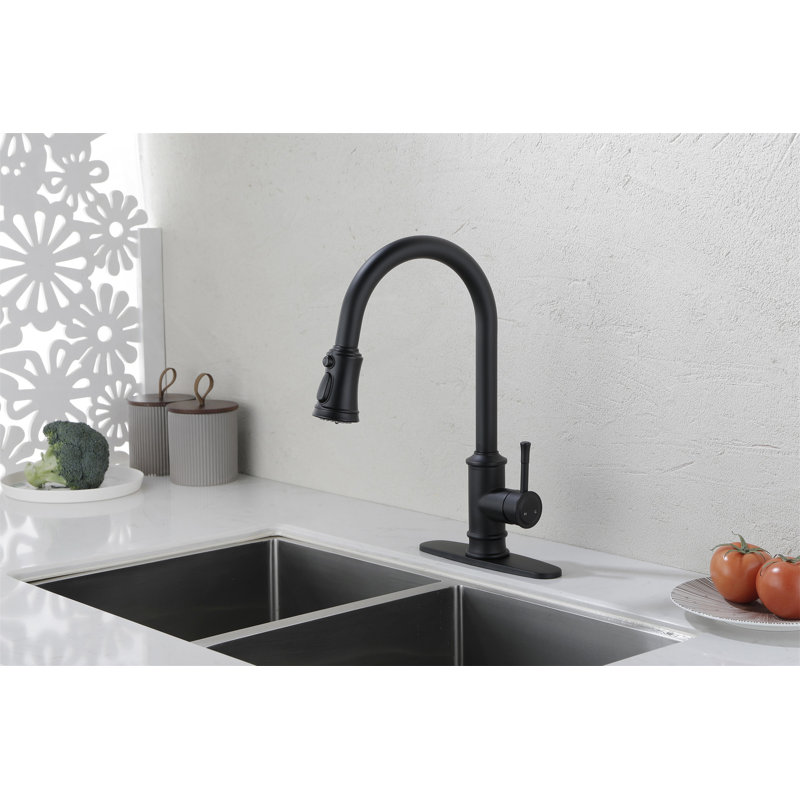 Kitchen Faucet With Pull Out Spraye, Matte Black