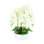 Orchid Arrangement in a Round Ceramic Vase
