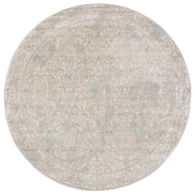 Evoke 242 Performance Oriental Rug