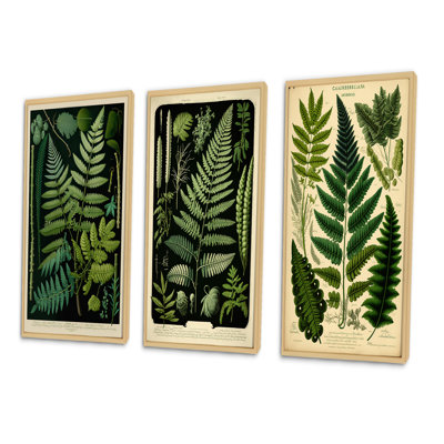 " Fern On Retro Victorian Chart " 3 - Pieces