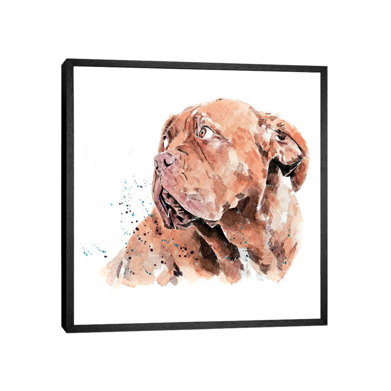 Dogue De Bordeaux I - Painting on Canvas, 66.04 cm H x 66.04 cm W, Black Framed