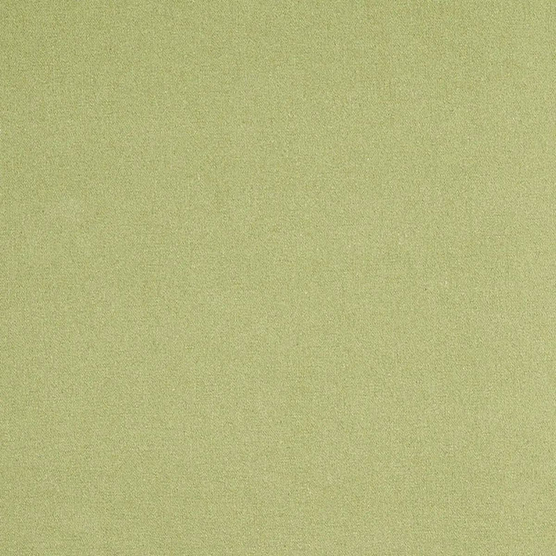 Albert Performance Cotton Fabric, Green