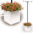 Union Rustic Ilerioluwa Wooden Planter Box with String Light Pole Insert, Classic Stacked Panel Design, Weather-Resistant Finish, Wood Planter Boxes Outdoor, Wooden Planters with Integrated Drainage-694171386-694171387