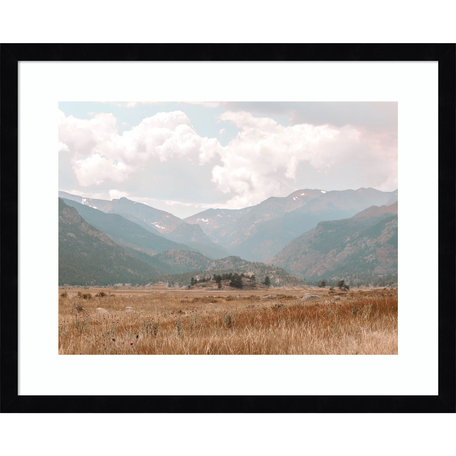 Wanderings by Alicia Abla, 17" H x 21" W x 1" D, Black