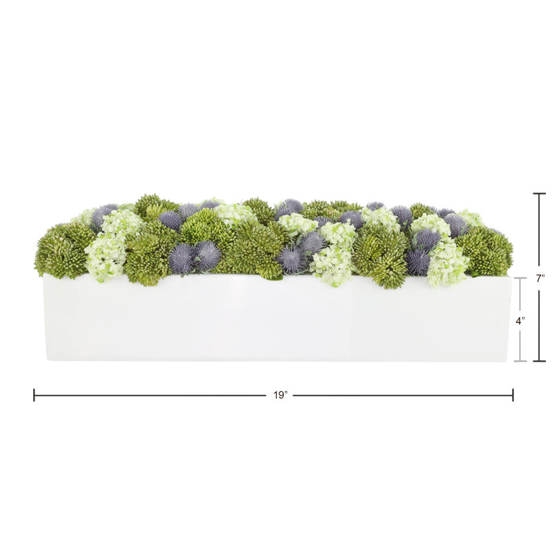 Sedum and Thistle Arranged in Rectangular Planter