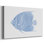 Poisson tropical bleu et blanc - galerie Cavas
