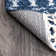 Armaghan Southwestern Blue Area Rug