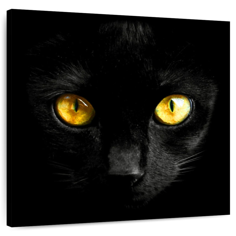 Chat noir aux yeux jaunes Brampt, H 39 po x l 39 po