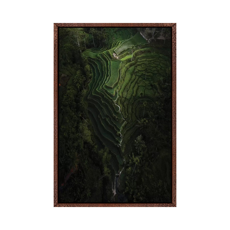 Bali IV 1 Piece Wall Art on Canvas, 66.04cm H x 45.72cm W x 3.81cm D, Classic Brown Wood Framed