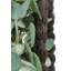 30" Artificial Eucalyptus Wreath