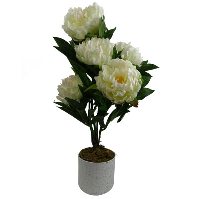 Ansa 55cm Faux Tree in Pot