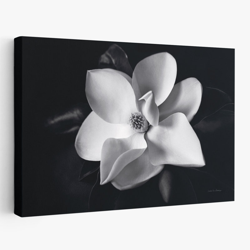 Blooms Blossoms - Magnolia, 24" H x 36" W