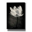 «Lotus Flower X» par Debra Van Swearingen, art mural sur toile-395945868