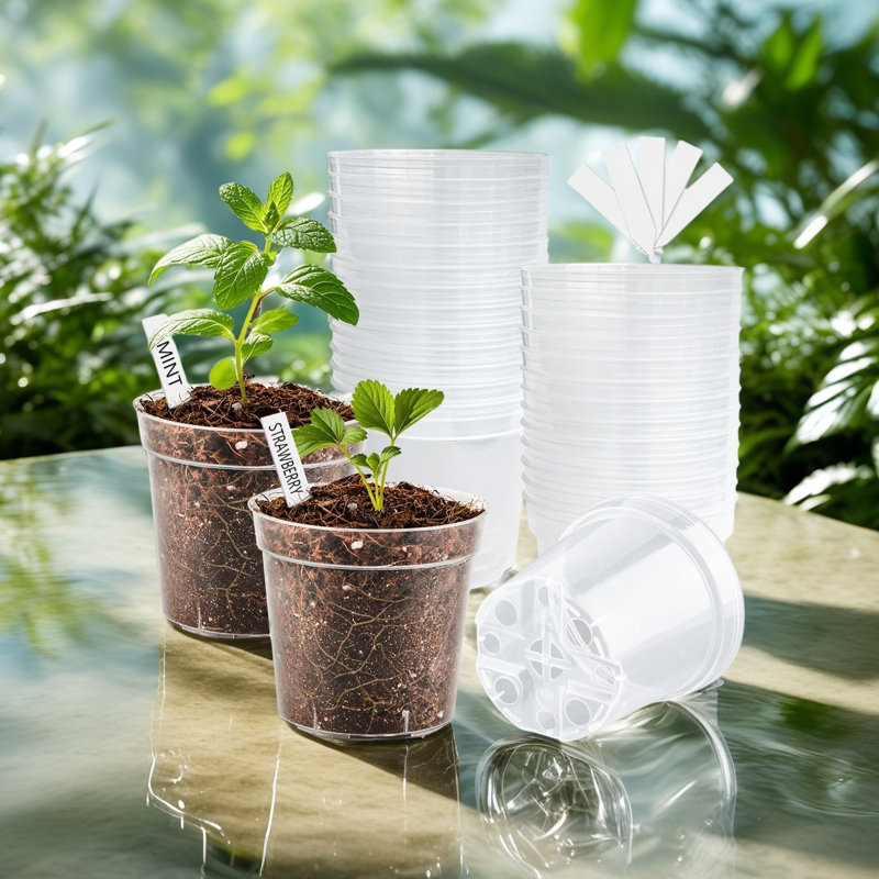 Transparent Plant Seedling Pot, 3.5" H x 4" W x 4" D
