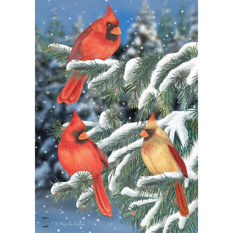 Drapeau de jardin Winter Cardinal Trio