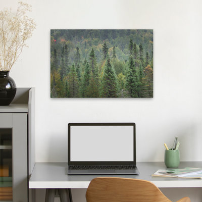 Rustic and Modern Rustic Superior National Forest I