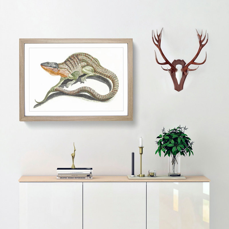Lizard by Johan Teyler - Picture Frame Painting Print, 27cm H x 36cm W x 2cm D, Oak Framed