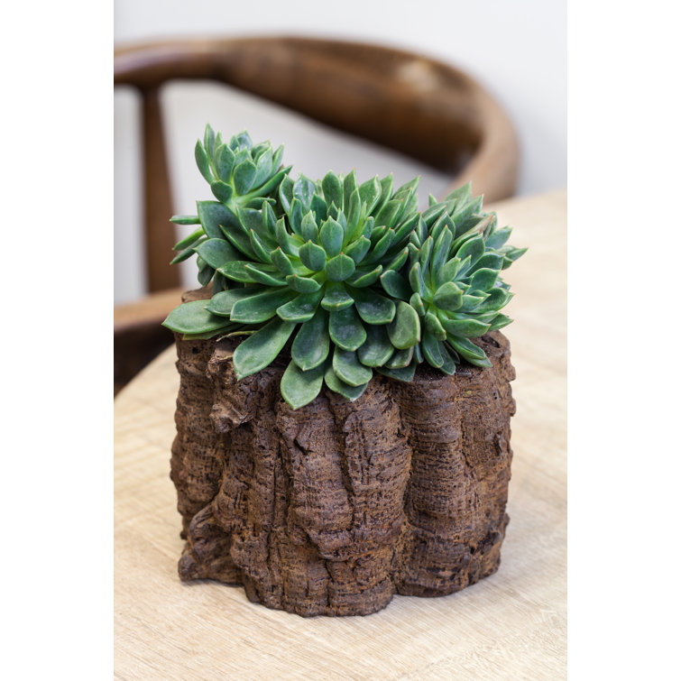 Dunnstown Handmade Statue Planter