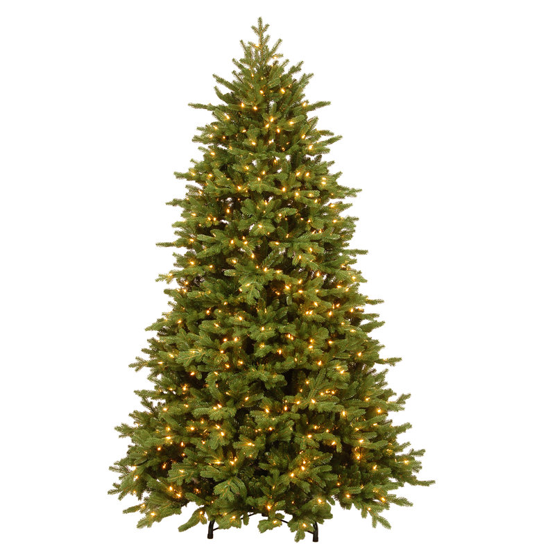 7.5 Ft. Powerconnect(Tm) Princeton Deluxe Fraser Fir Tree With Dual Color® Led Lights, 10' H