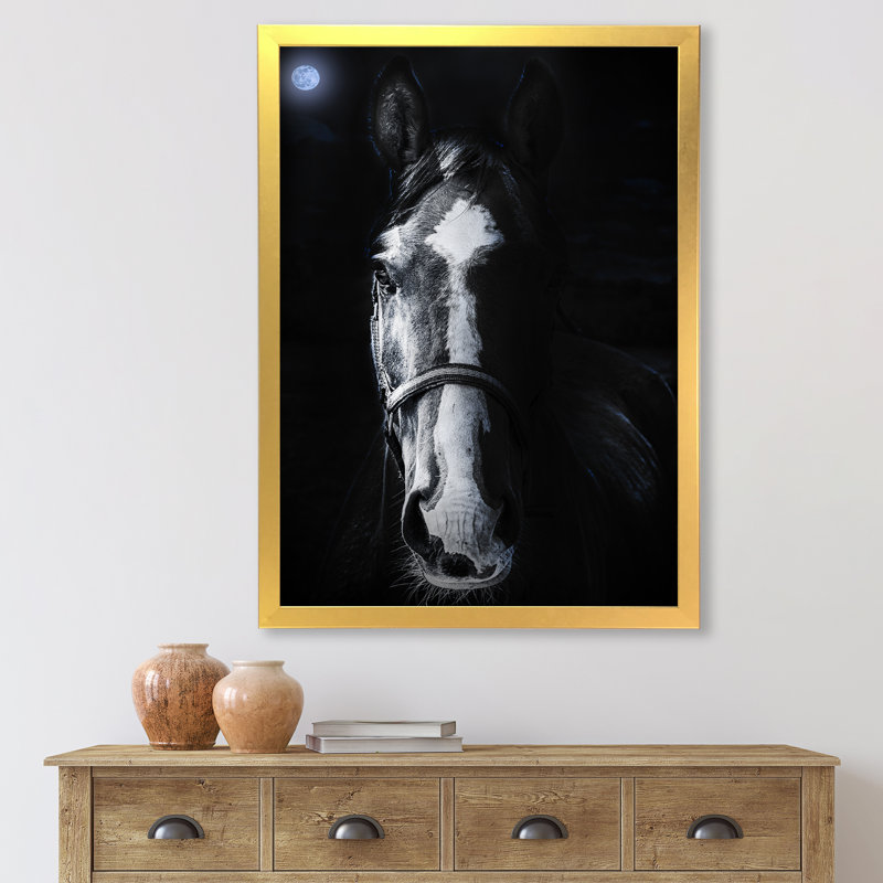 «Horse Staring Sinister» - photographie sur toile, H 32 po x l 16 po x P 1,5 po, Toile encadrée d'or