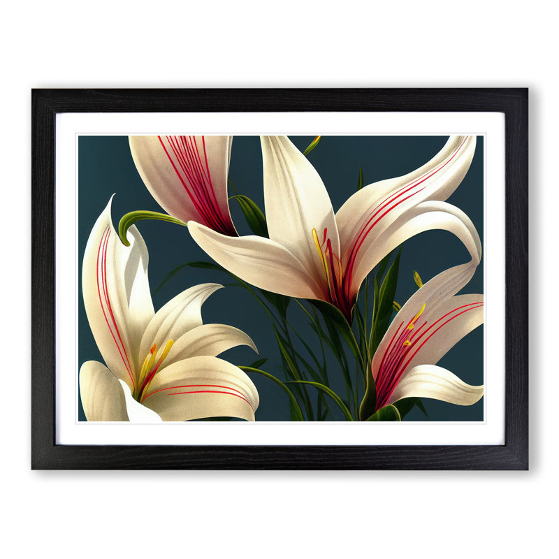 Bold Lily Flowers - Framed Print, Black Framed, 46cm H x 64cm W x 2cm D