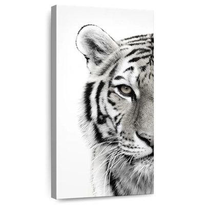 Tigre blanc