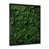 Black Single Picture Framed