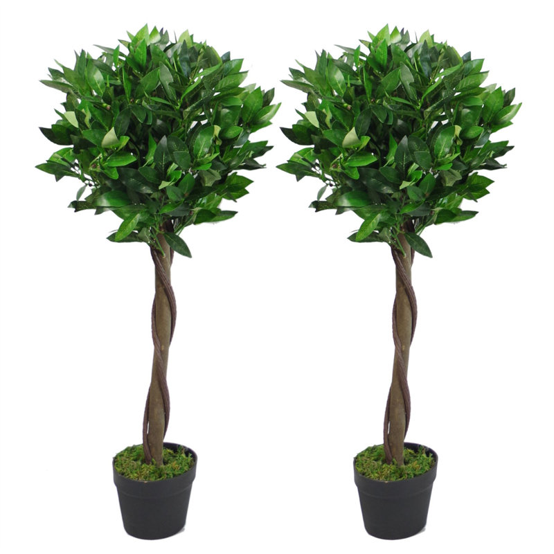 2 - Piece 120Cm Artificial Foliage Topiary in Pot Liner Set, 90cm H x 45cm W x 45cm D