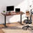 3-Stage Dual Motor Electric Standing Desk-1246345795-1246345805