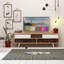 Patrina TV Stand