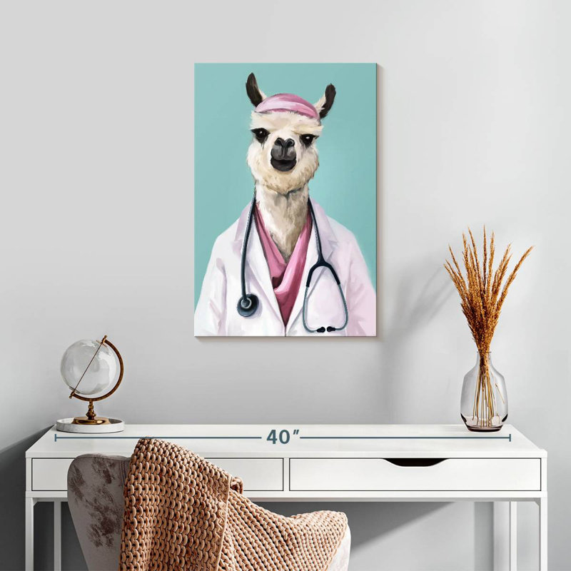 Doctor Llama, H 24 po x l 16 po