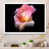 White Picture Frame