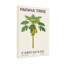 Plantes et fleurs, papaye, caricacées, monocot tropical, illustration de plante fruitière-486041232