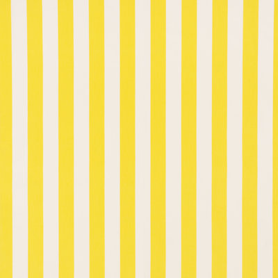 Andy Stripe Fabric