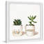 Golden Potted Cactus by Parvez Taj - Single Picture Frame Painting-1557713877