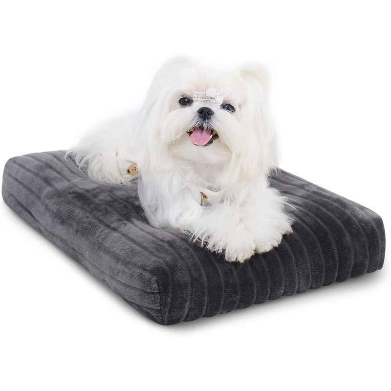 Lits pour chien Eibhlis, Gris, H 2,5 po x l 12 po x P 21 po