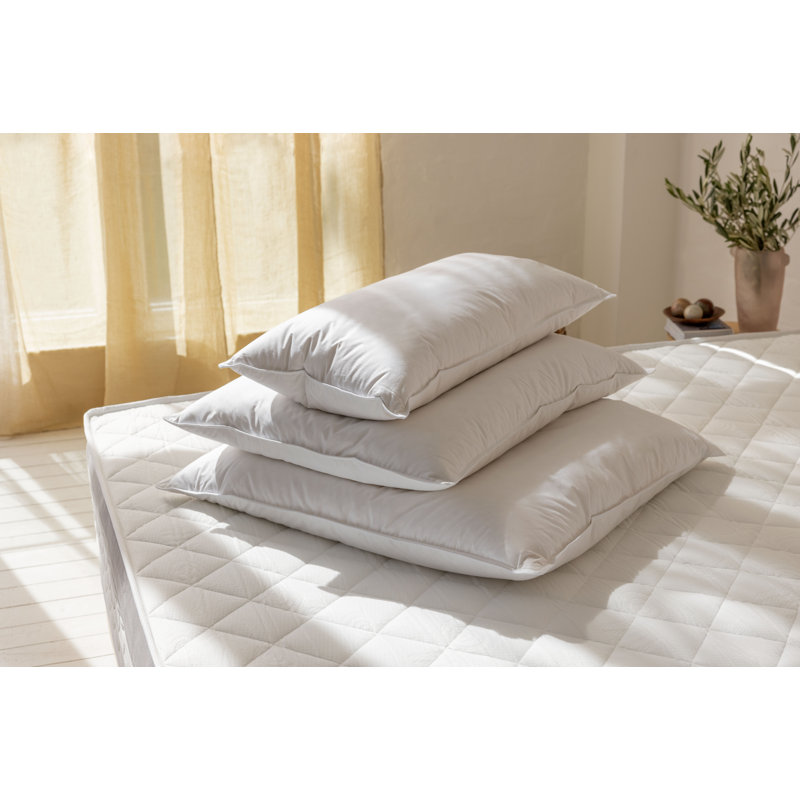 Home Range Goose Feather & Down Pillow Pair