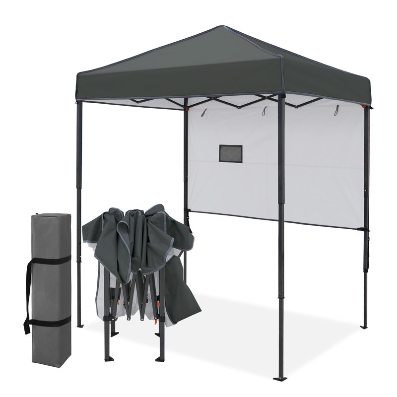 Pavillon escamotable de 6 pi L 4 pi. D Auvent extérieur en métal, Mauve