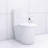 Elongated Toilet With High-Performance Flush And Soft-Close Feature White Powerful Dual Skirted Appearance-127384526