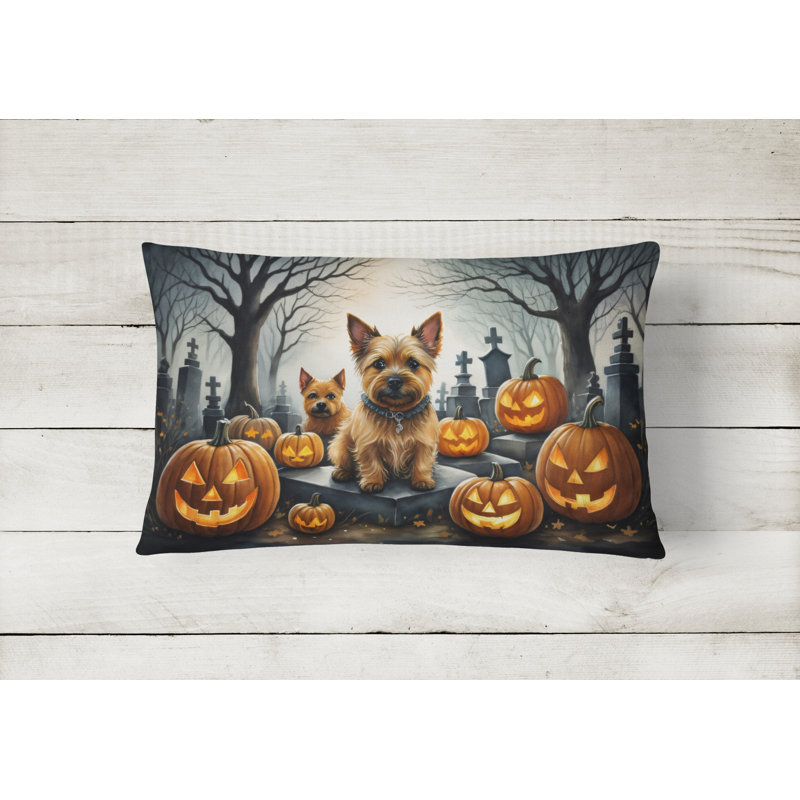 Other/No Pattern Outdoor Throw Pillow